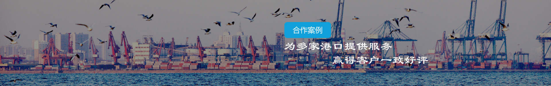 青島港-江陰市博皓港口機械設(shè)備有限公司